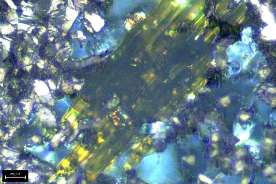 obraz z mikroskopu optycznego