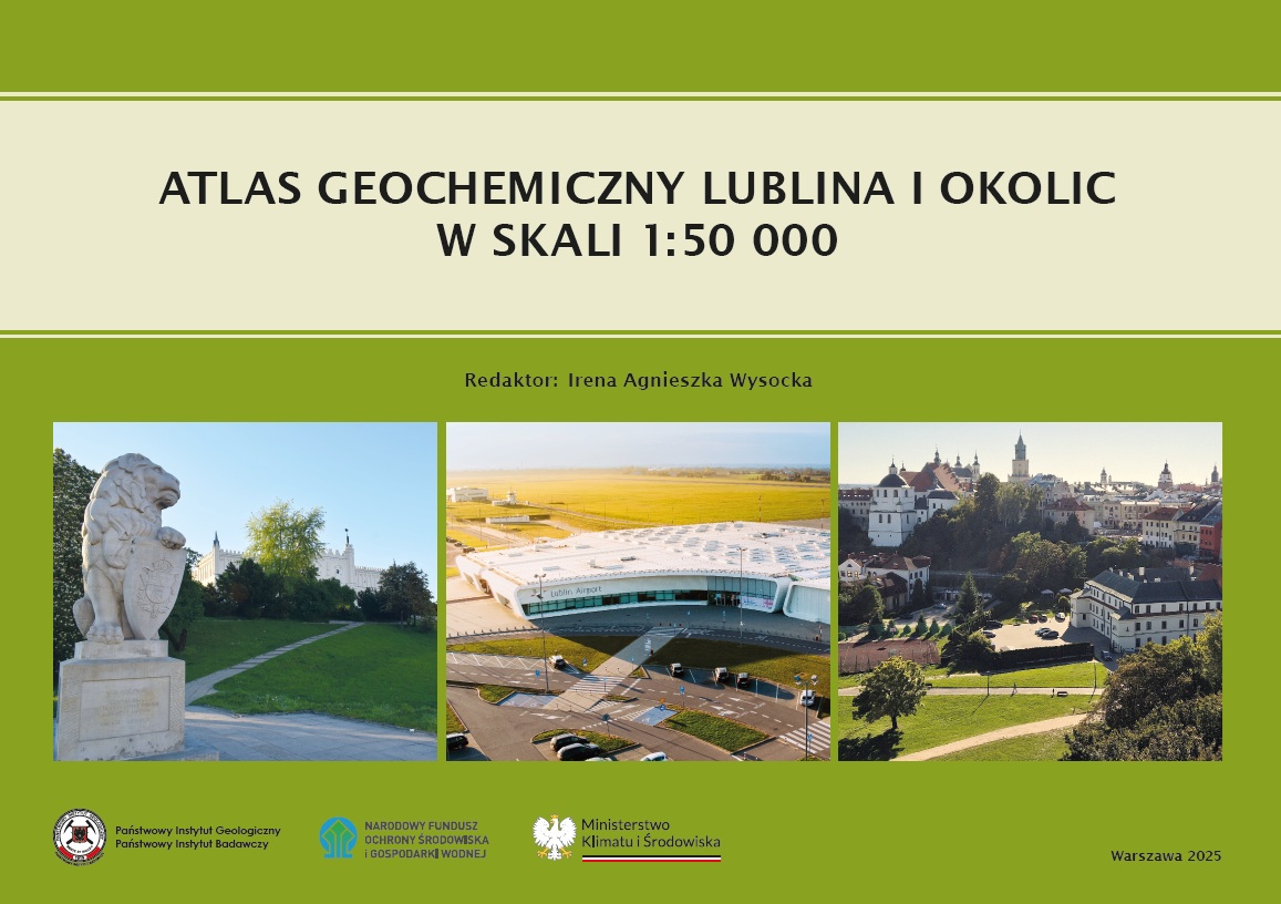 grafika ilustracyjna