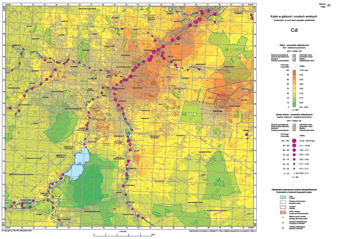 grafika ilustracyjna