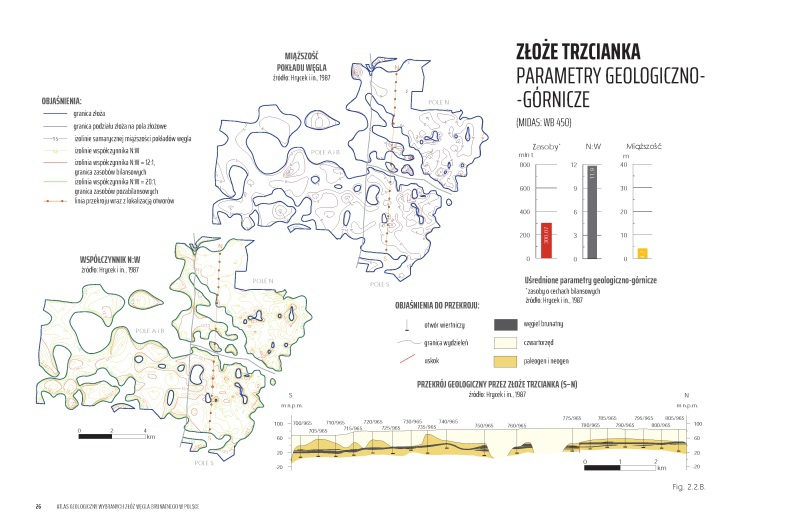 grafika ilustracyjna