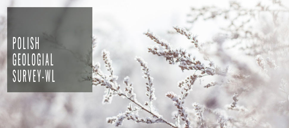 POLISH GEOLOGICAL SURVEY - WL